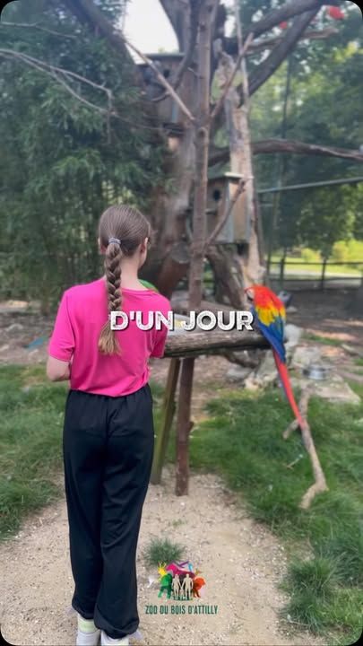 💌 Cher futur soigneur d’un jour...Prépare-toi à passer de l’autre côté des coulisses. 🐾Une journée au plus près des animaux, des soigneurs... et des souvenirs plein la tête.Alors, tu te verrais dans la peau d’un soigneur le temps d’une journée ? 👀