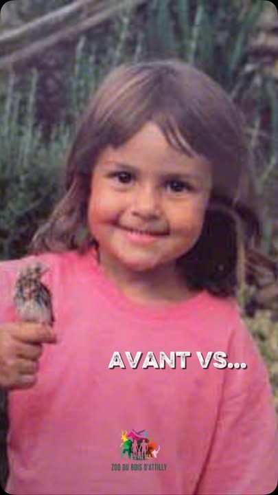 Du rêve d’enfant à la vie d’adulte... 🐾💚Pour beaucoup, la passion des animaux est née dès le plus jeune âge.Aujourd’hui, les membres de notre équipe ont la chance d’en avoir fait leur métier. Chaque journée est différente, mais une chose n’a jamais changé : le plaisir de prendre soin des animaux, de les observer et de contribuer à leur bien-être.Parce qu’il n’y a rien de plus beau que de vivre de sa passion.💬 Et vous, quel était votre métier de rêve quand vous étiez enfant ?